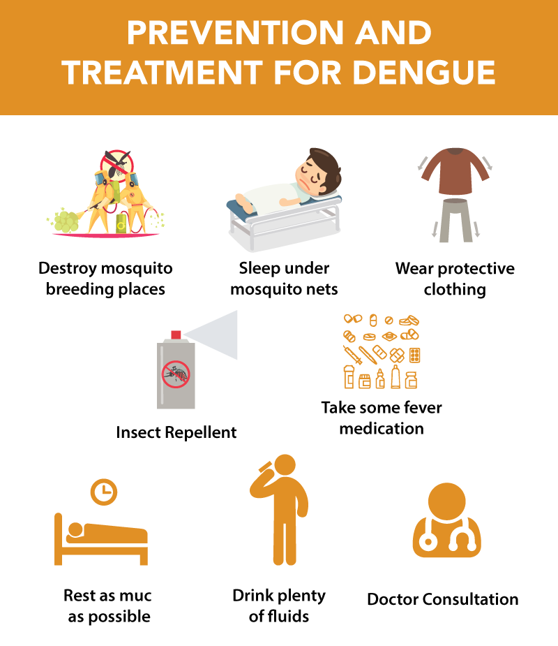 Prevention & Treatment of Dengue Fever